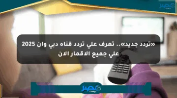 «تردد جديد».. تعرف على تردد قناة دبي وان 2025 على جميع الأقمار الآن